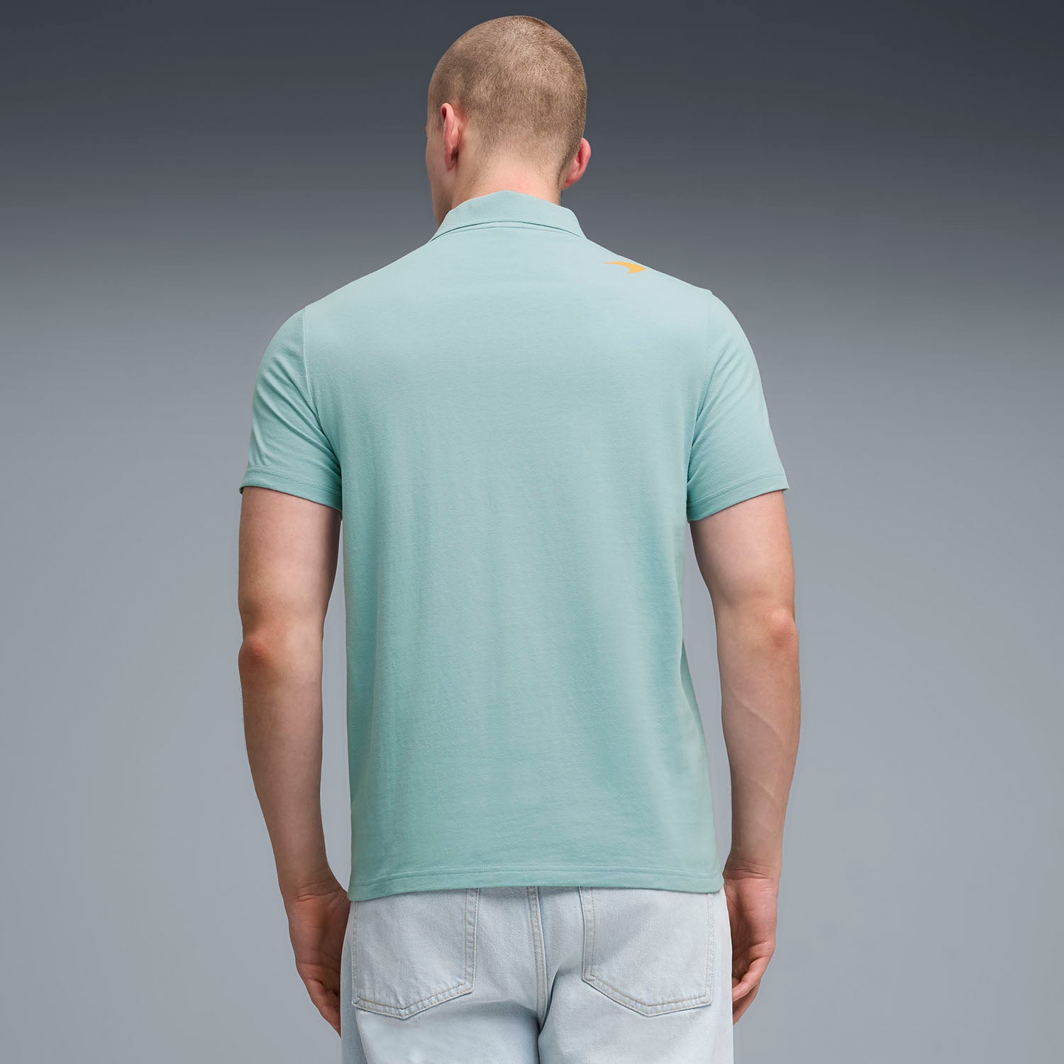 Small Logo Polo