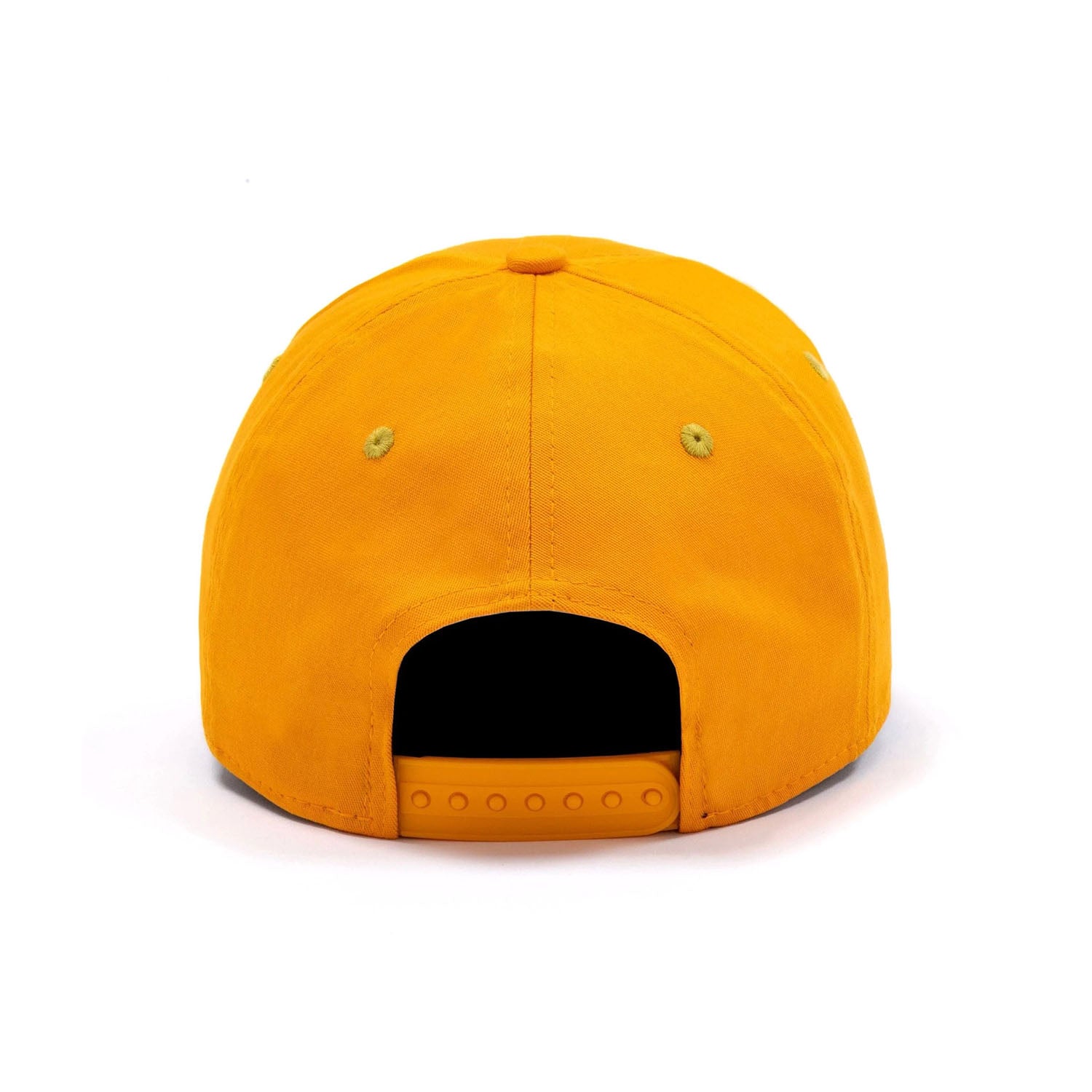 2025 Constructors' Championship Cap