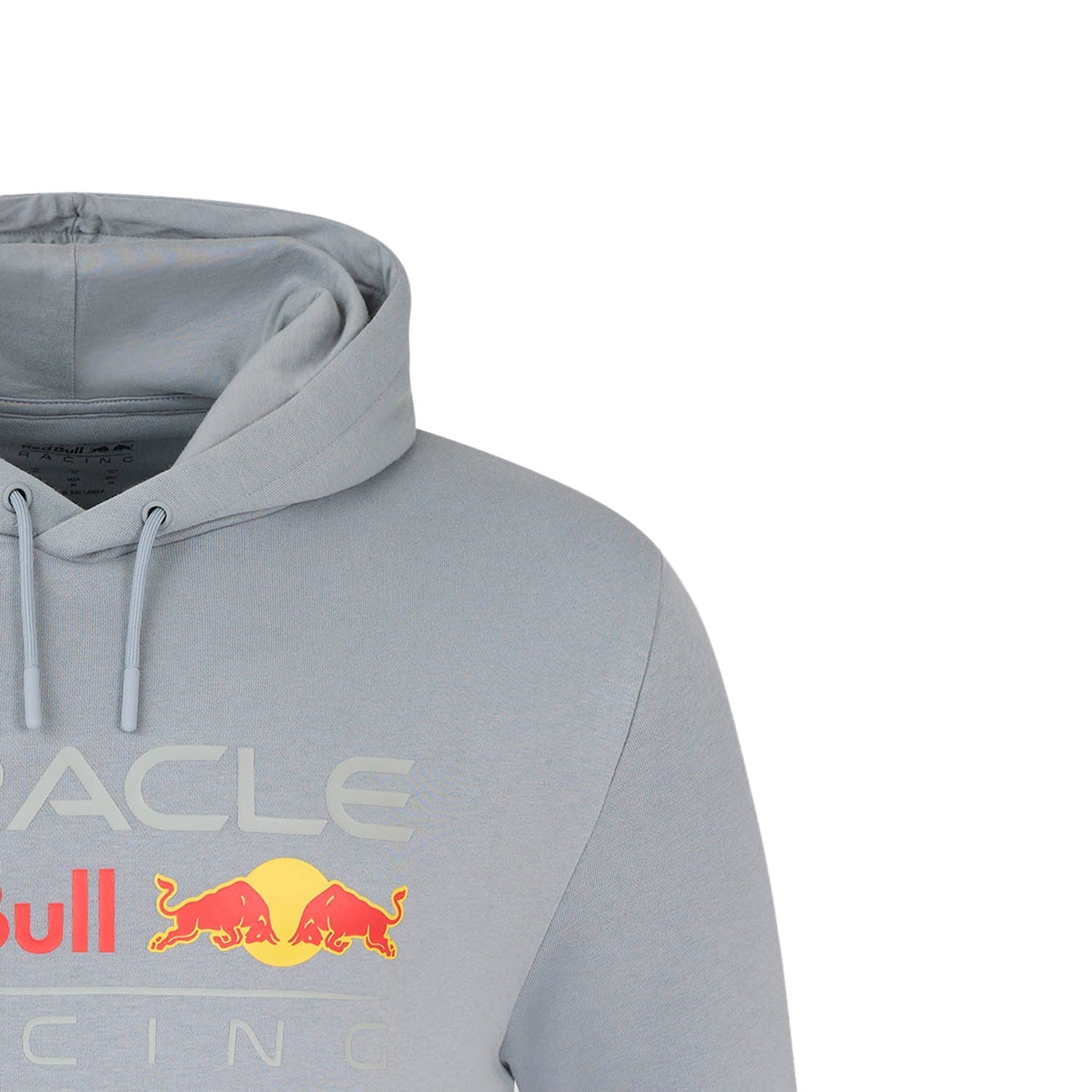 Large Logo Hoody